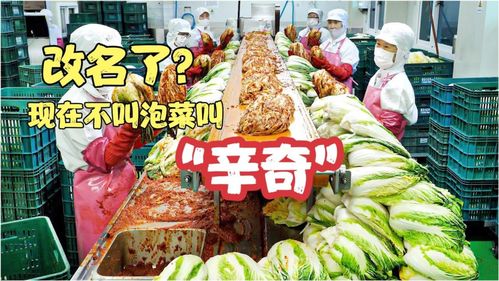 雨軒齋清真食品 堅(jiān)守“辛奇”品質(zhì)，踐行HACCP最高衛(wèi)生標(biāo)準(zhǔn)