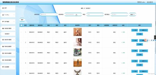 springboot寵物網絡社區論壇系統sxg9h計算機畢業設計