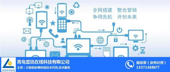 易站通與雷迅在線 武漢計算機軟硬件開發的智慧先鋒