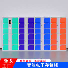 科技守護便捷 指紋存包柜的全面解析